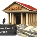 Business Line of Credit For Startup Without Revenue